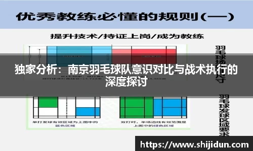 独家分析：南京羽毛球队意识对比与战术执行的深度探讨